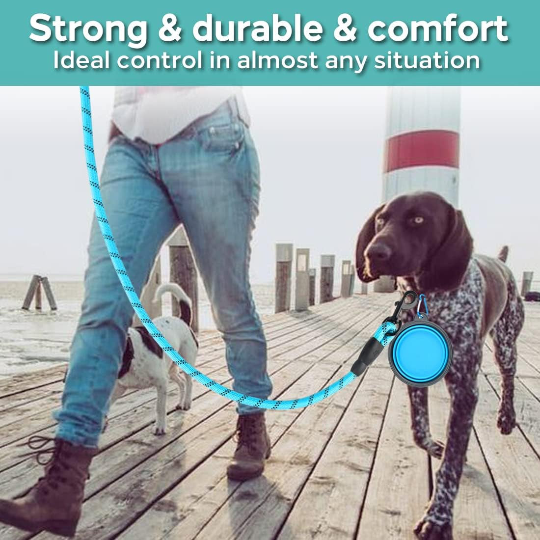 2 Pack Reflective Dog Leash for Medium Large Dogs with Collapsible Pet Bowl