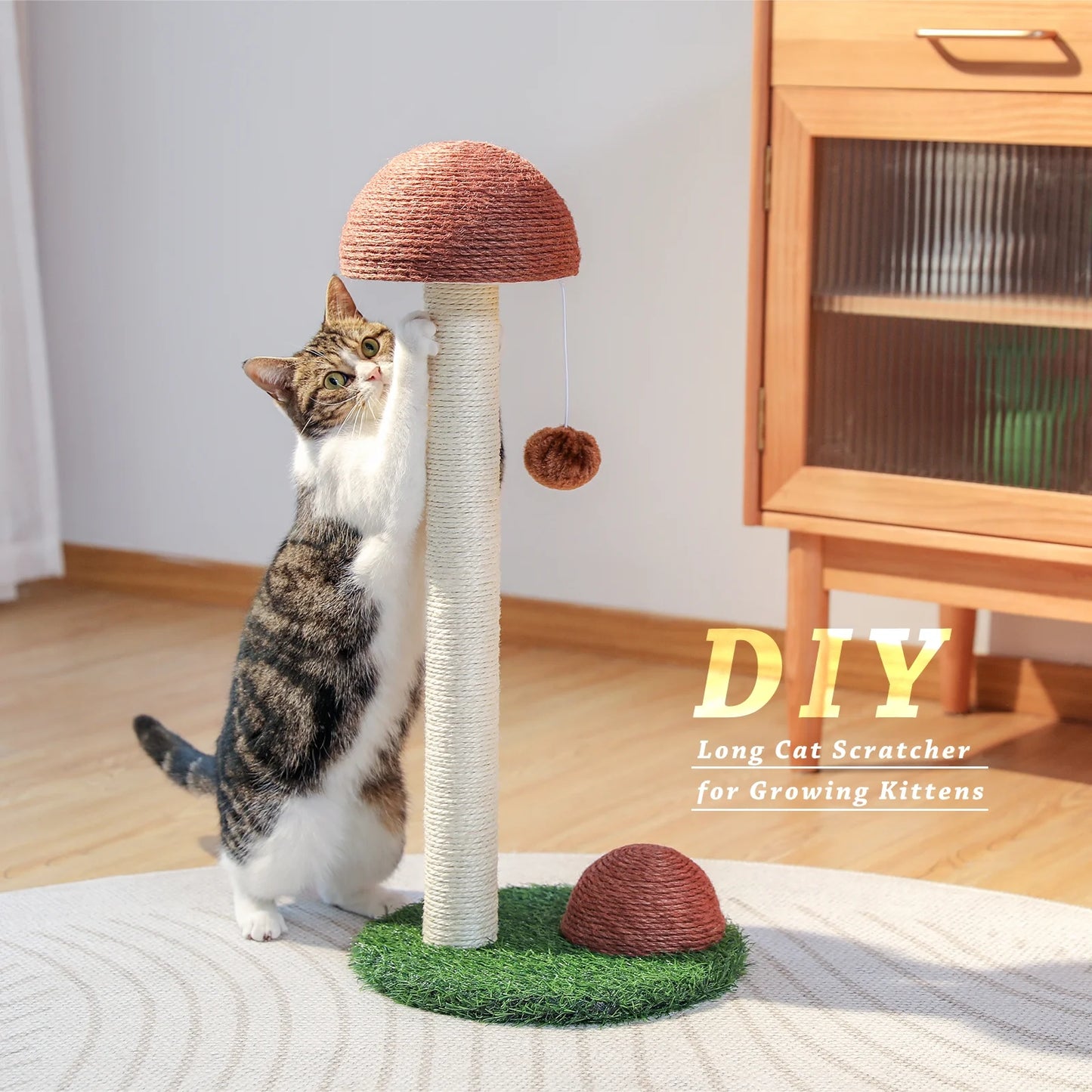 2 Mushroom 19" Cat Scratching Post for Kittens and Small Cats