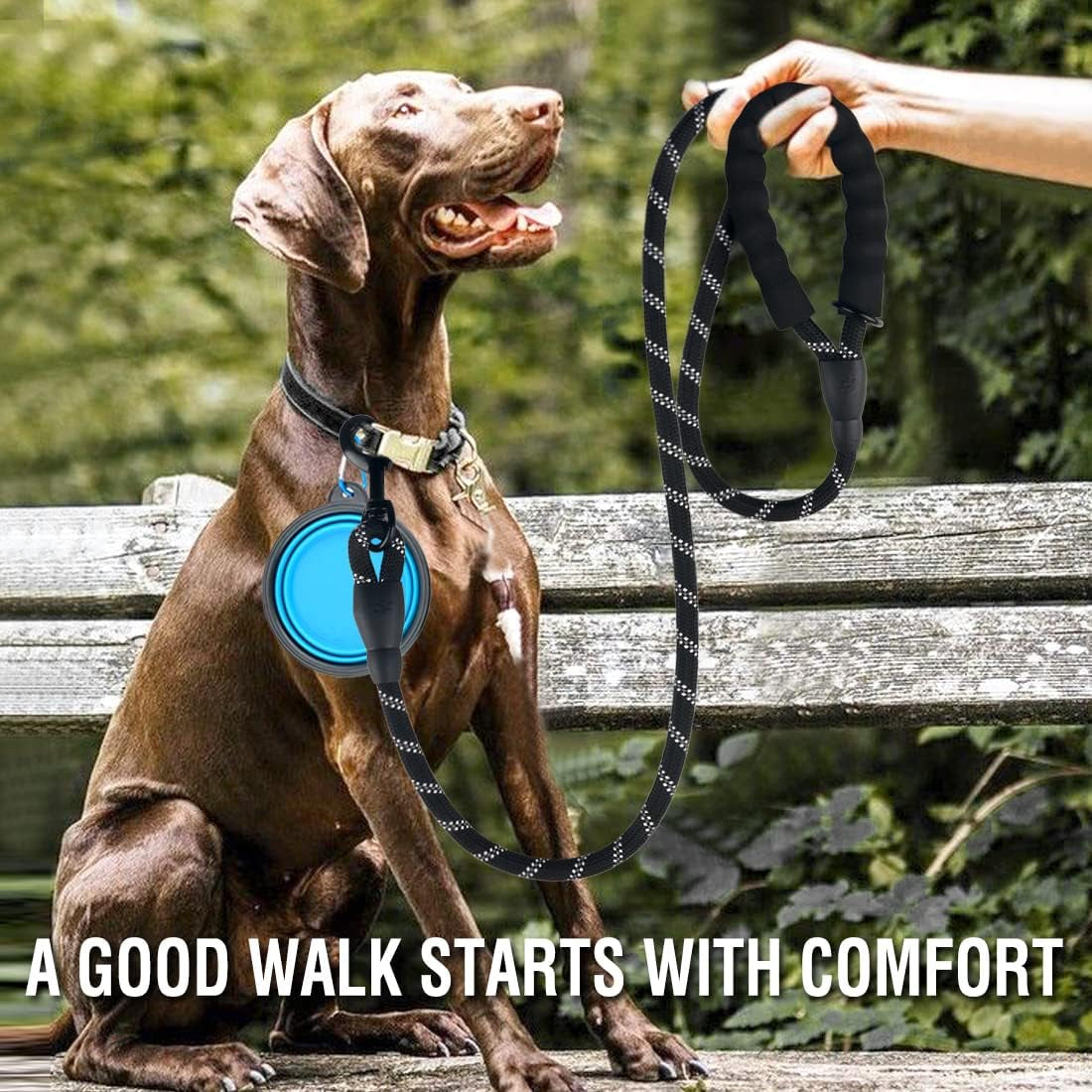 2 Pack Reflective Dog Leash for Medium Large Dogs with Collapsible Pet Bowl