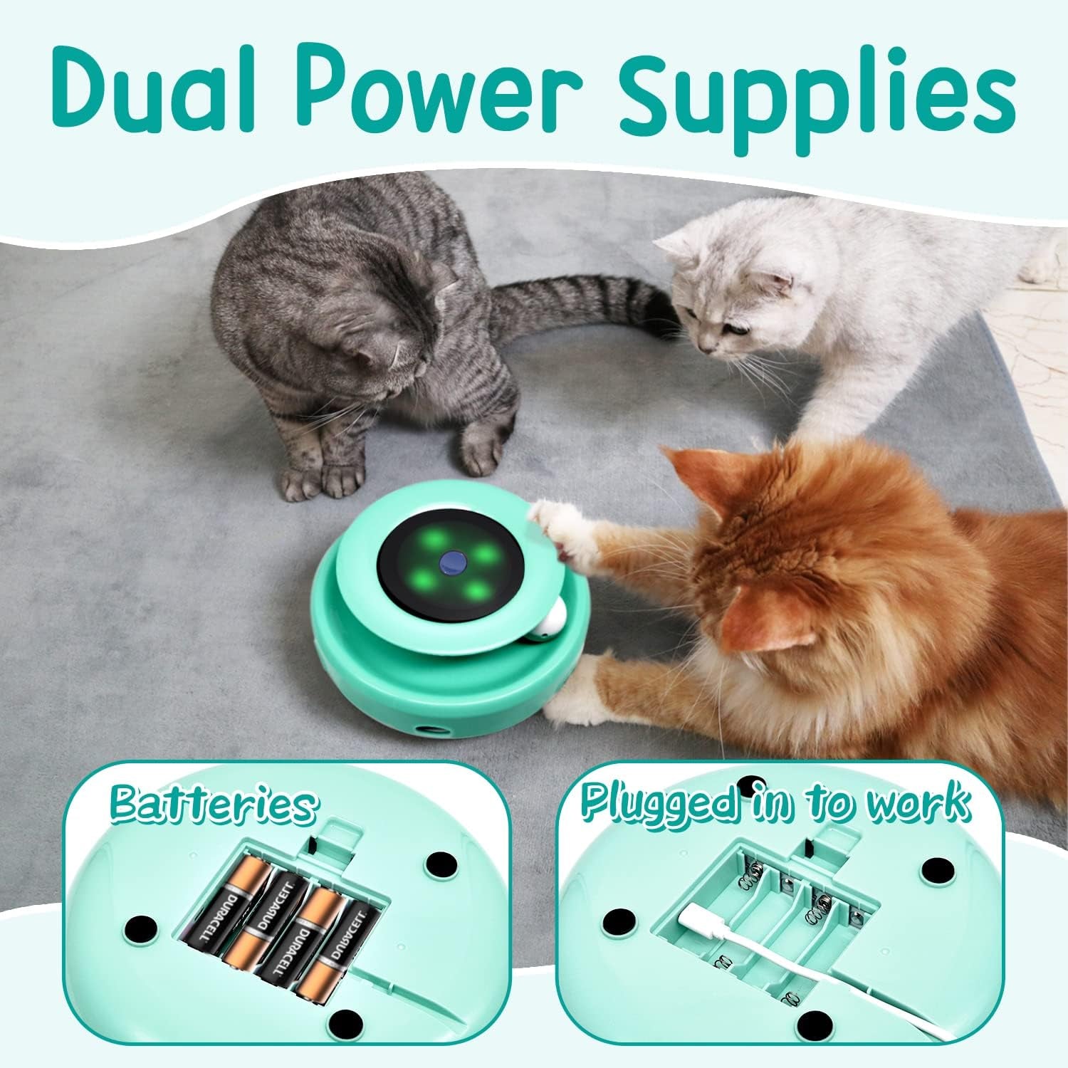  2-In-1 Interactive Cat Toys for Indoor Cats
