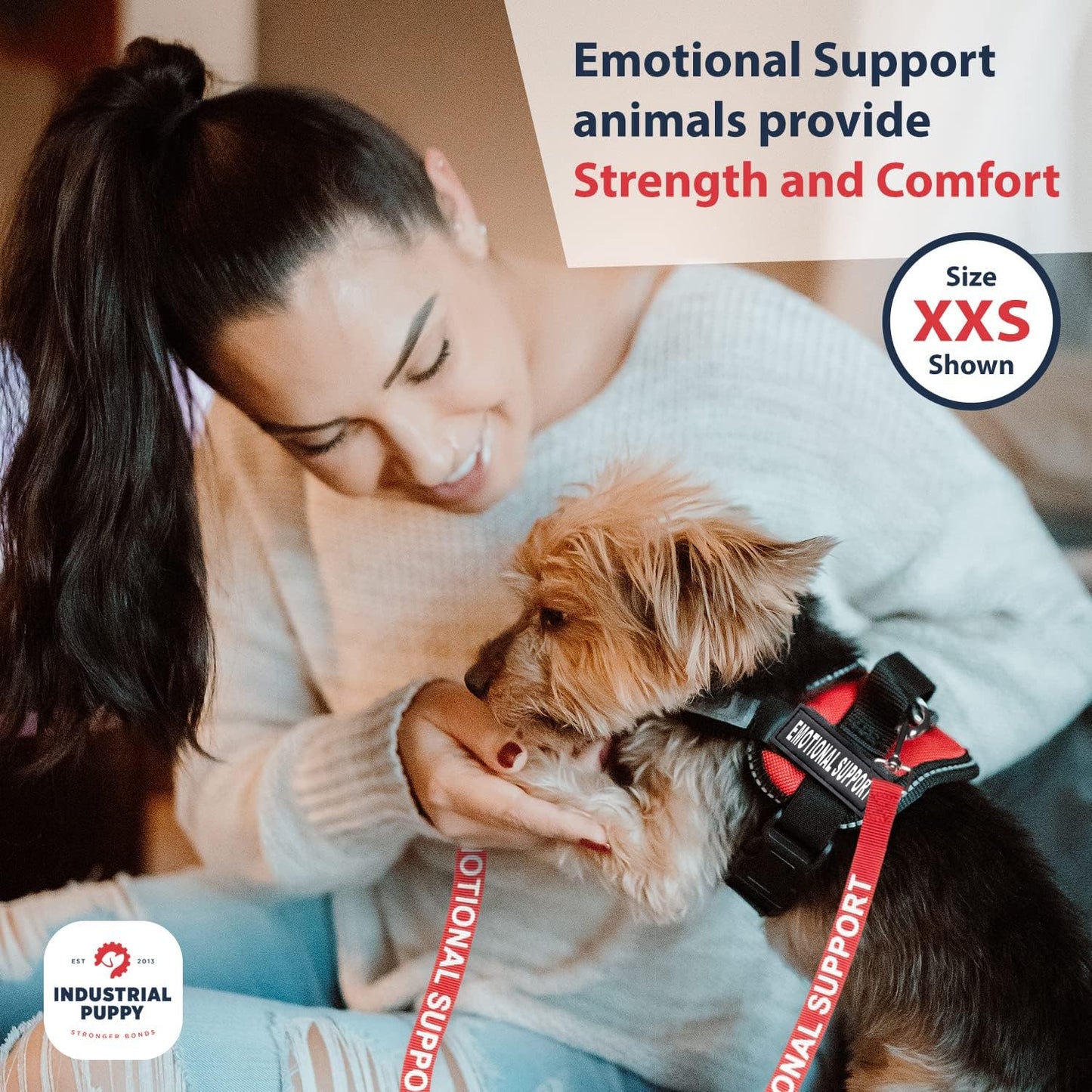 Small Dog Reflective Emotional Support Vest Harness with Matching Leash Set