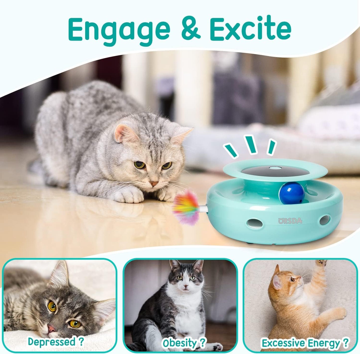  2-In-1 Interactive Cat Toys for Indoor Cats