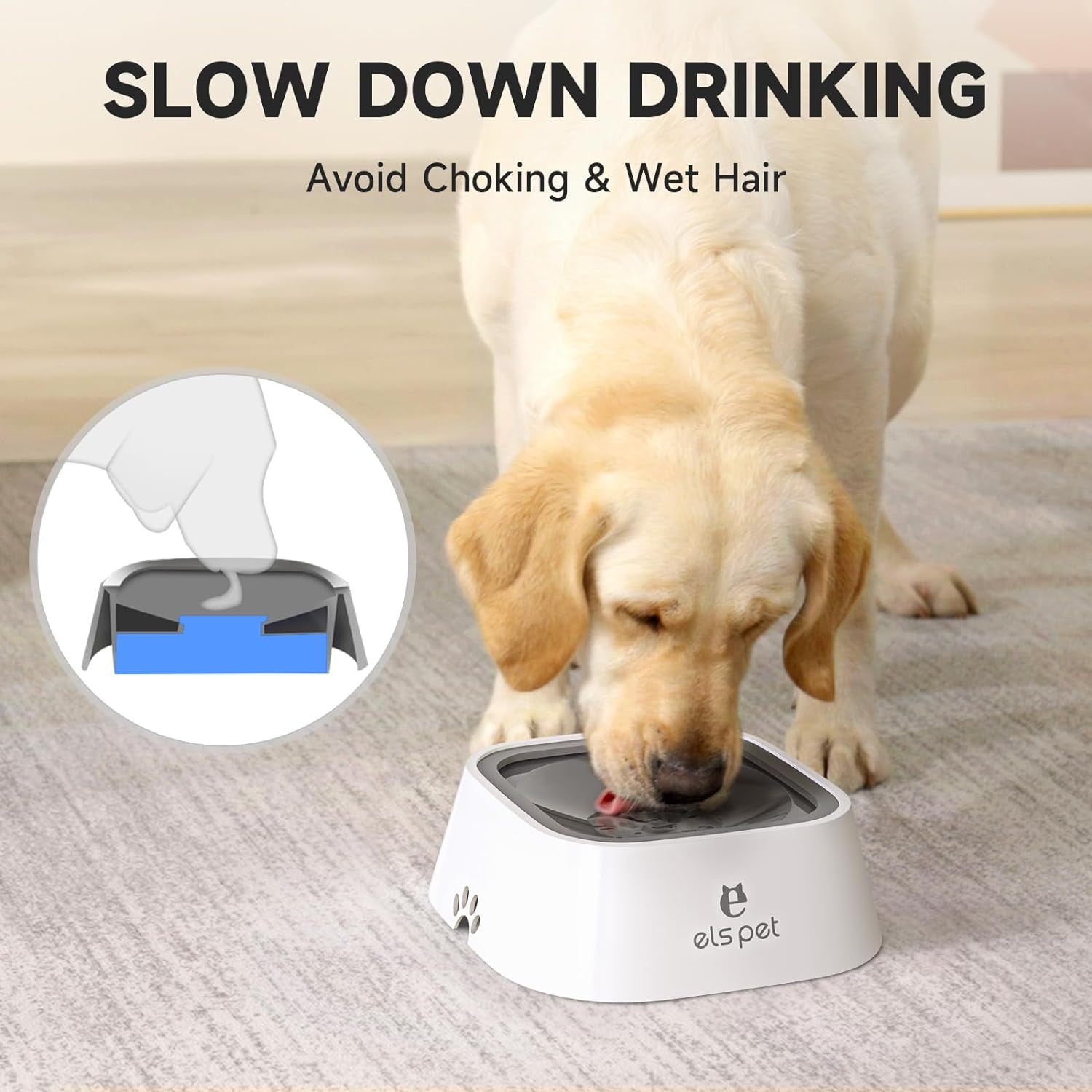  Slow Water Feeder/Dispenser for Dogs, Cats